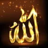 ummmuhammad368