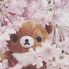 starrxvss