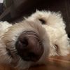 joels_06