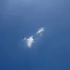 notdan08
