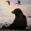 beanyboy08