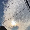 user5lj2qnv209