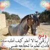 mohmed.salah.nedj