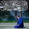 talhahusnain5
