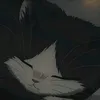 katamedota