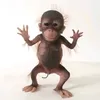 mariacarlaarana