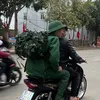 pdc_710