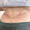 charizz22