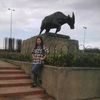 sarrss_3689