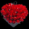 yaran.1209