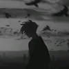 .z_iq