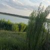 pazzwsk_andar