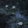z_lou22977
