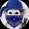 memesrthebest21