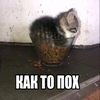 _feerum