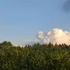 artem00482