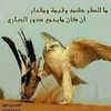 asomh53