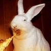 deadlyhare