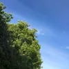 emily.macd1