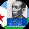 asalsomalilander12