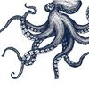 octopucarlos8