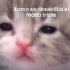 luis.luisin