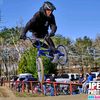 gavin_suares.bmx