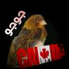 👑👑Queen Rama 🇨🇦🇨🇦🇸🇾🇸