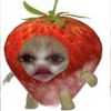 _meow0302
