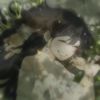 hy_onee