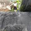 vantruongfa