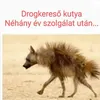 bl6cksh33p