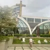 cthrinc29