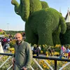 hamarawf0