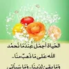 user8110206454071