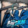 rayxd010
