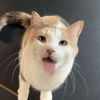usmellugly
