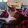 leilaisgoated