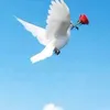 ..8fl
