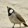 user5ikwsot4vk