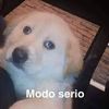alextremo278