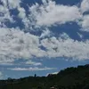 deusmelhorescolha