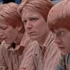 weasleys.choice