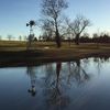 treesbythelake