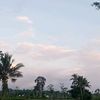 al_2746