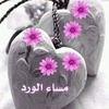 mohamedelsayed3855