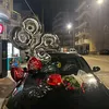 demnesonsuzumumit