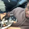 elibuggout