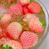 0_mika_23