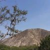 lunalopez0510